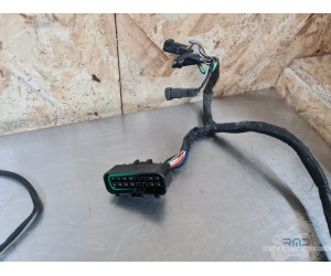 Faisceau électrique principal Suzuki 650 SV N 1999 à 2002 