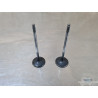 Paire de soupape d'échappement Suzuki 650 SV N 1999 à 2002 