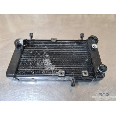 Radiateur d'eau Suzuki 650 SV N 1999 à 2002 