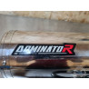 Silencieux d'échappement Dominator Suzuki 650 SV N 1999 à 2002 