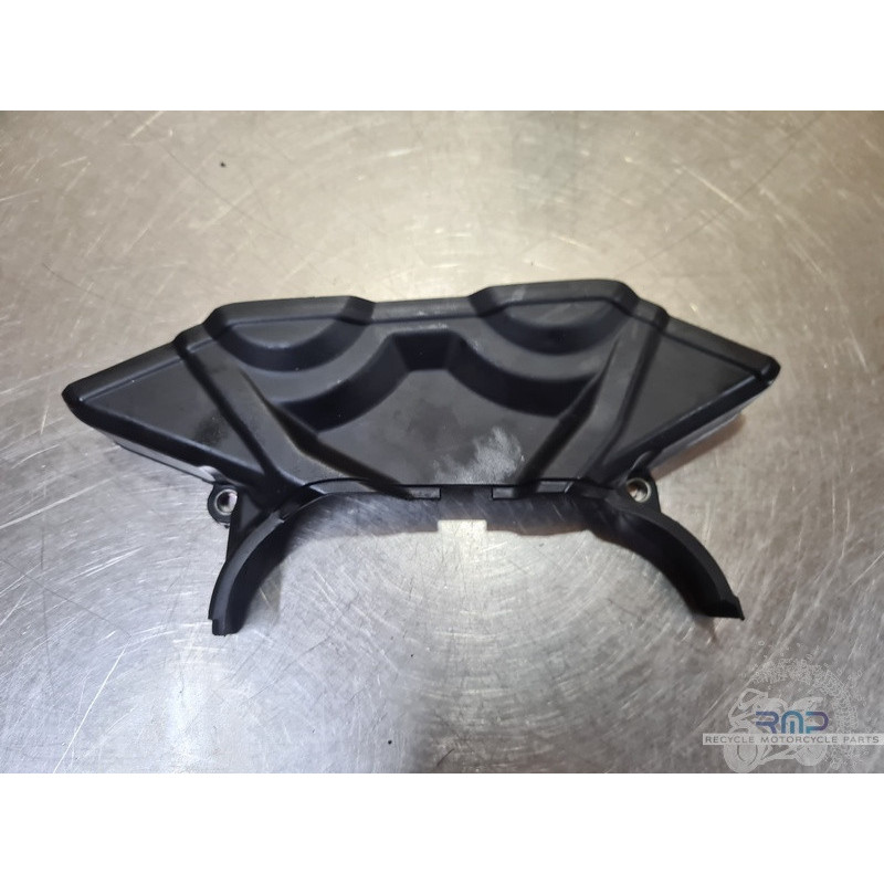 Cacheplastique Ducati Multistrada 1260 Pikes Pike 2015 à 2020 