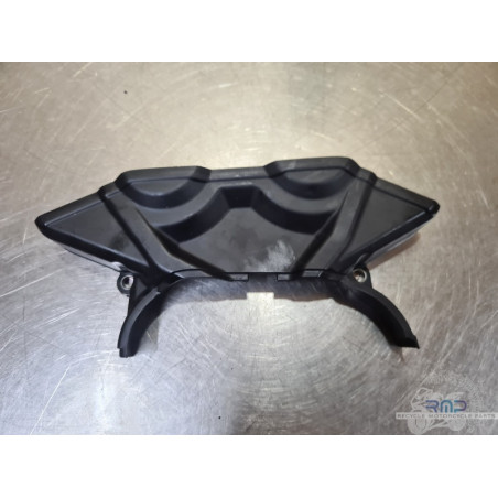 Cacheplastique Ducati Multistrada 1260 Pikes Pike 2015 à 2020 