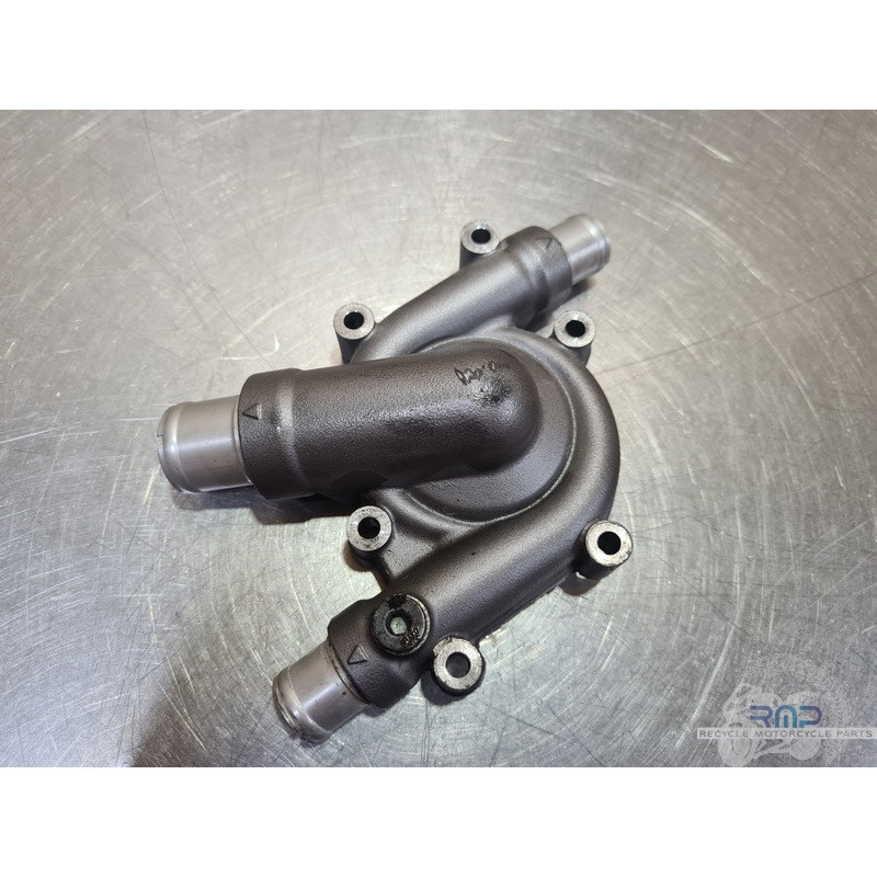 Carter de pompe a eau Ducati Multistrada 1260 Pikes Pike 2015 à 2020 