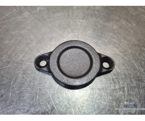Carterdemboutdevilebrequin Ducati Multistrada 1260 Pikes Pike 2015 à 2020 