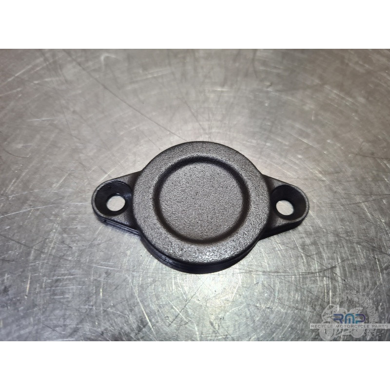 Carterdemboutdevilebrequin Ducati Multistrada 1260 Pikes Pike 2015 à 2020 