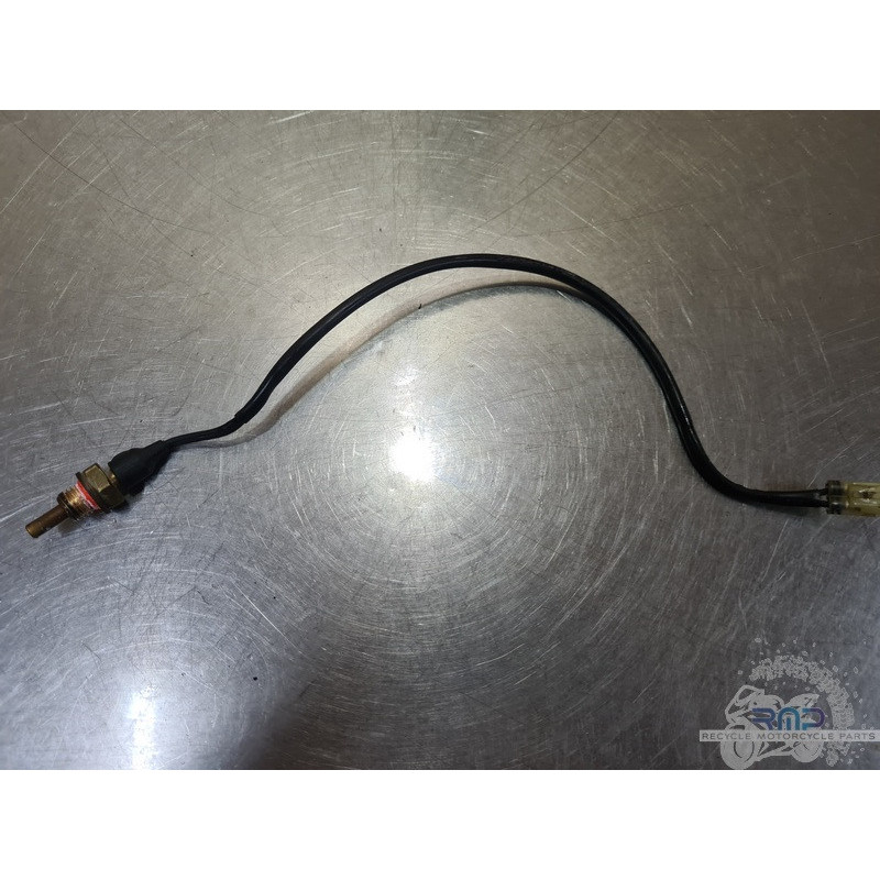 Sonde de température d'eau Ducati Multistrada 1260 Pikes Pike 2015 à 2020 