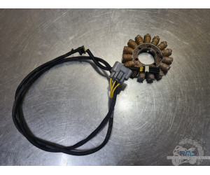 Stator - Alternateur Ducati Multistrada 1260 Pikes Pike 2015 à 2020 