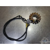 Stator - Alternateur Ducati Multistrada 1260 Pikes Pike 2015 à 2020 