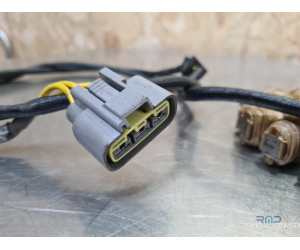 Stator - Alternateur Ducati Multistrada 1260 Pikes Pike 2015 à 2020 