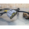 Stator - Alternateur Ducati Multistrada 1260 Pikes Pike 2015 à 2020 