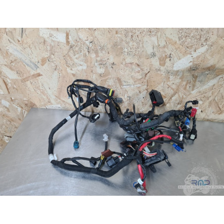 Faisceau électrique principal Husqvarna 401 Vitpilen 2020 à 2024 