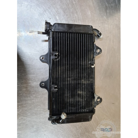 Radiateur d'eau Husqvarna 401 Vitpilen 2020 à 2024 