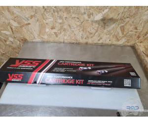 Kit cartouche d'origine Aprilia 660 RS Husqvarna 401 Vitpilen 2020 à 2024 