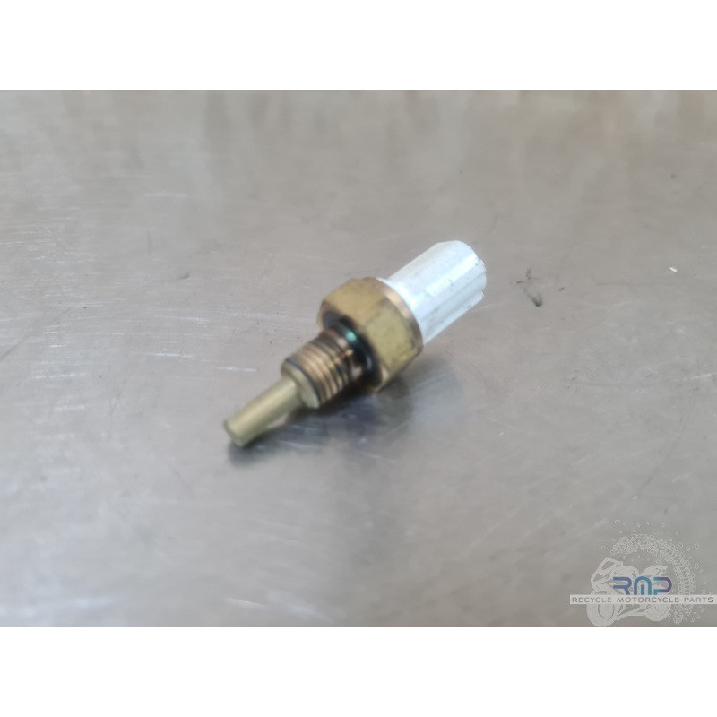 Sonde de température d'eau KTM 790 Duke 2018 à 2020 
