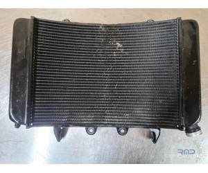 Radiateur d'eau KTM 790 Duke 2018 à 2020 