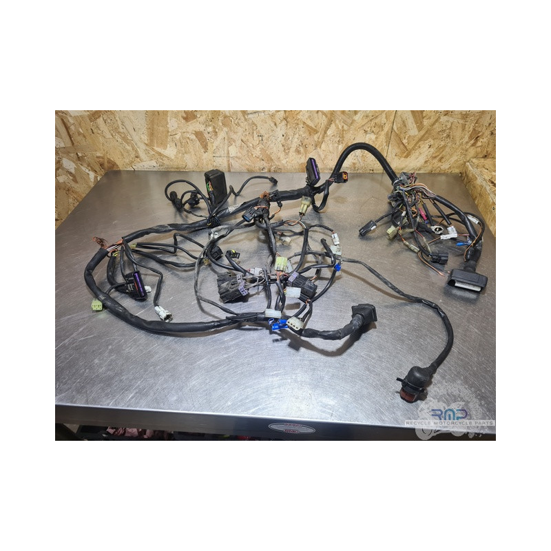 Faisceau électrique principal KTM 690 SM 2007 à 2008 