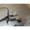 Faisceau électrique principal Yamaha 450 WRF 2003 à 2006 