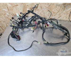 Faisceau électrique principal Honda ST 1100 Pan européan 1992 à 2001 