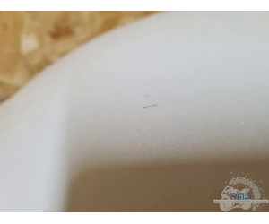 Suzuki GSXR 1300 Hayabusa 2022 à 2025 