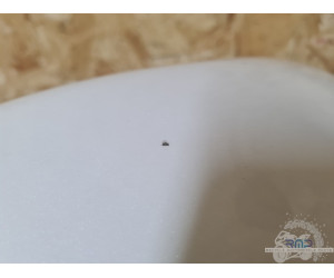 Suzuki GSXR 1300 Hayabusa 2022 à 2025 