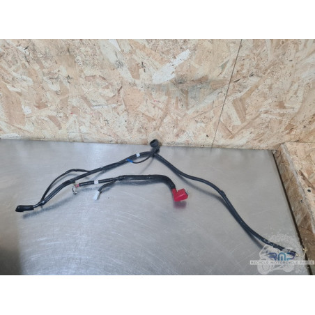 Suzuki GSXR 1300 Hayabusa 2022 à 2025 