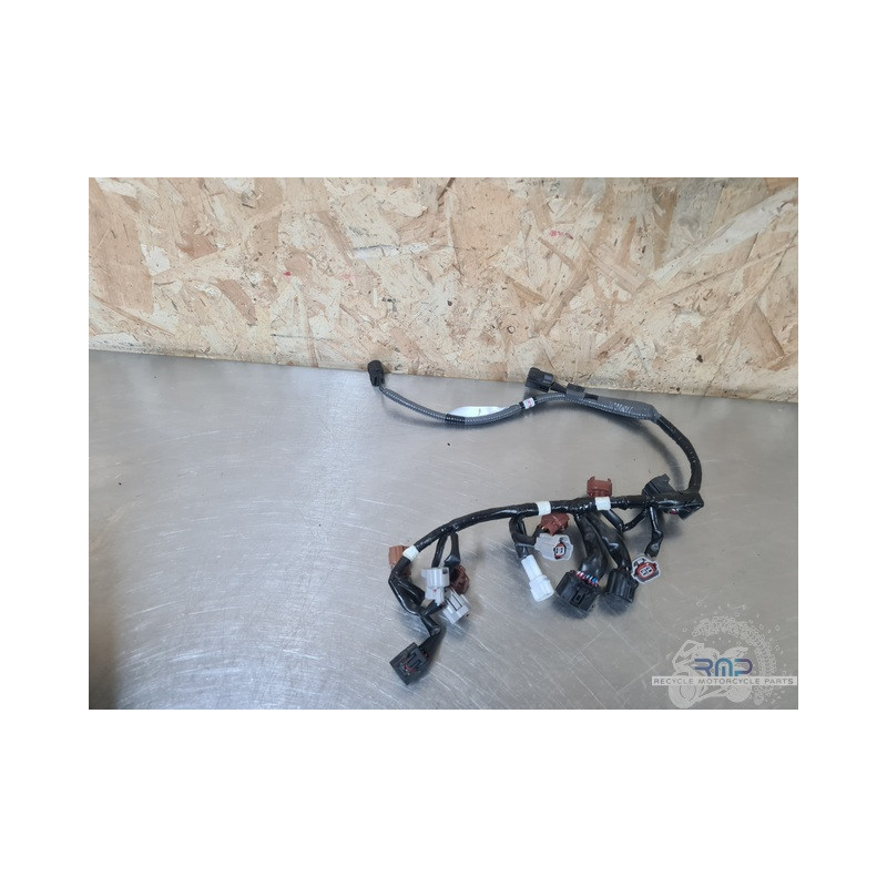 Suzuki GSXR 1300 Hayabusa 2022 à 2025 