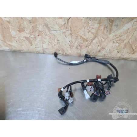 Suzuki GSXR 1300 Hayabusa 2022 à 2025 