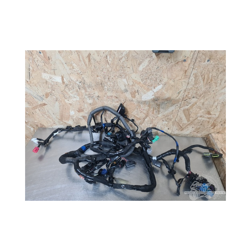 Suzuki GSXR 1300 Hayabusa 2022 à 2025 