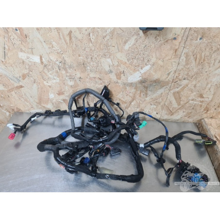 Suzuki GSXR 1300 Hayabusa 2022 à 2025 