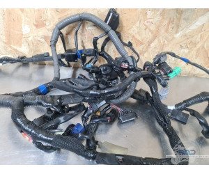 Suzuki GSXR 1300 Hayabusa 2022 à 2025 