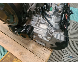 Suzuki GSXR 1300 Hayabusa 2022 à 2025 