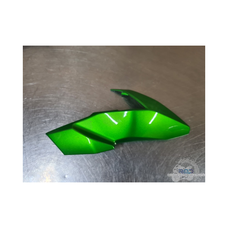 Ecope de radiateur gauche Kawasaki Z 650 2017 à 2019 