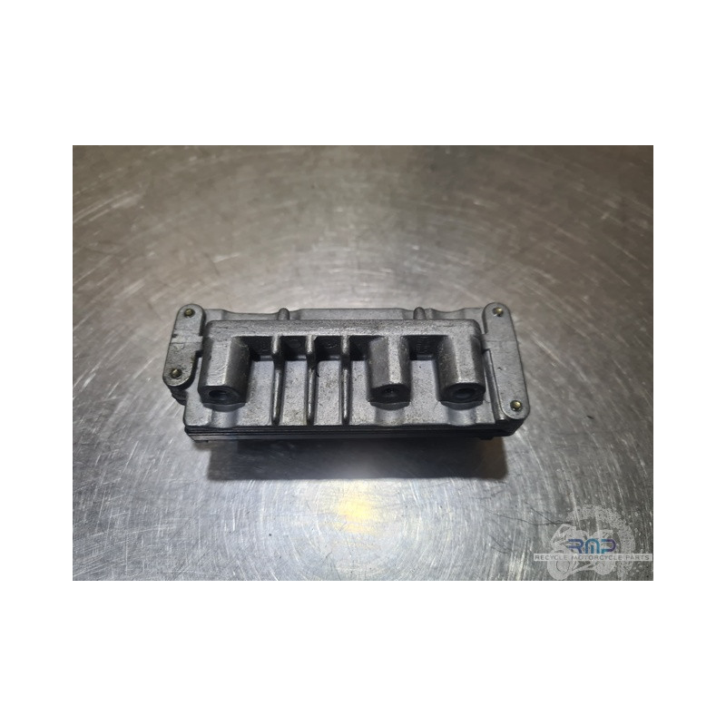 Boitier CDI - ECU Ducati Monster S4R 996 2003 à 2006 