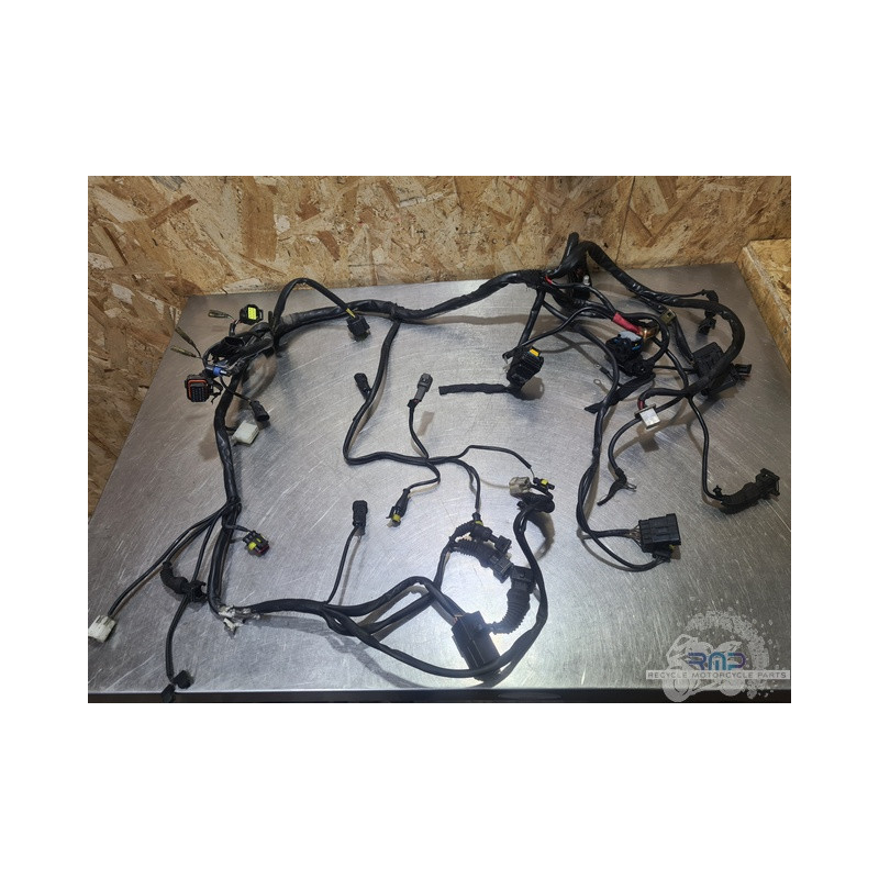 Faisceau électrique principal Ducati Monster S4R 996 2003 à 2006 