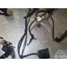 Faisceau électrique principal Ducati Monster S4R 996 2003 à 2006 