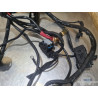 Faisceau électrique principal Ducati Monster S4R 996 2003 à 2006 