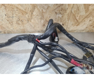 Faisceau électrique principal Ducati Monster S4R 996 2003 à 2006 