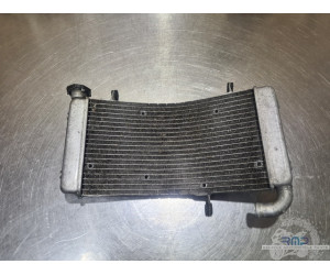 Radiateur d'eau Ducati Monster S4R 996 2003 à 2006 