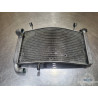 Radiateur d'eau Ducati Monster S4R 996 2003 à 2006 