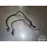 Cable de masse Yamaha 1300 XJR 1999 à 2001 