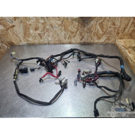 Faisceau électrique principal Yamaha 1300 XJR 1999 à 2001 
