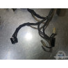 Faisceau électrique principal Yamaha 1300 XJR 1999 à 2001 