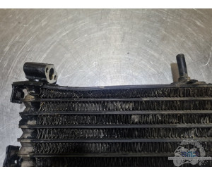 Radiateur d'huile Yamaha 1300 XJR 1999 à 2001 