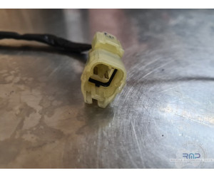 Antenne de neiman Honda 600 Hornet 2002 à 2004 