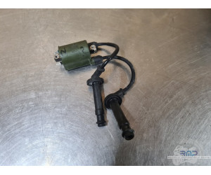 Bobine d'allumage 2 et 3 Honda 600 Hornet 2002 à 2004 