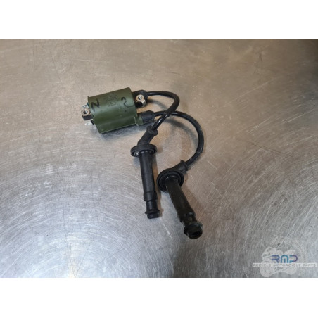 Bobine d'allumage 2 et 3 Honda 600 Hornet 2002 à 2004 