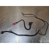 Cable de masse Honda 600 Hornet 2002 à 2004 