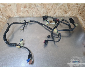 Faisceau électrique principal Honda 600 Hornet 2002 à 2004 