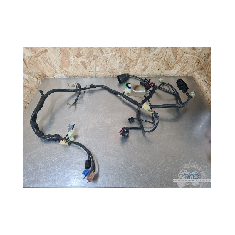Faisceau électrique principal Honda 600 Hornet 2002 à 2004 