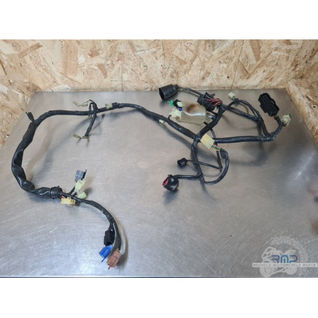 Faisceau électrique principal Honda 600 Hornet 2002 à 2004 